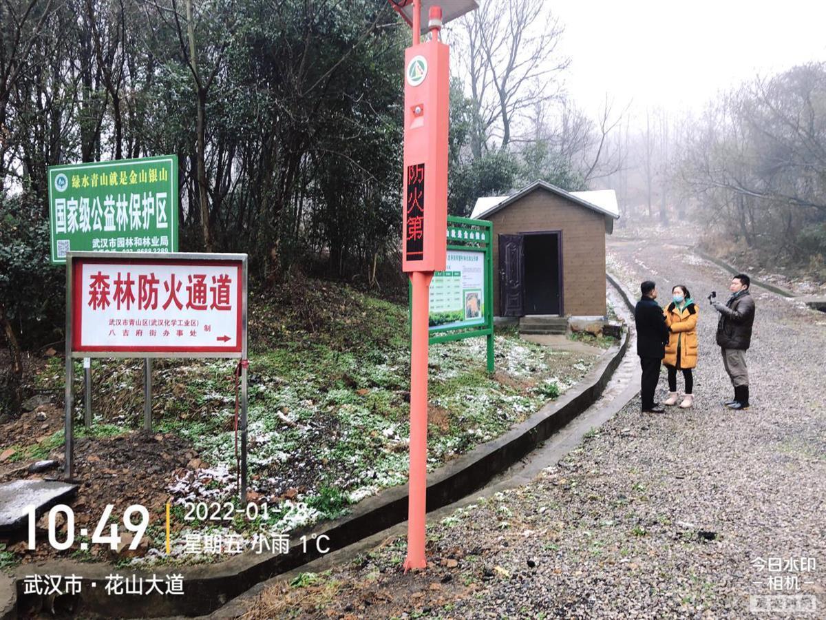 武漢織密森林“防火網(wǎng)”!千余護(hù)林員每日巡查 智能攝像頭監(jiān)控90萬(wàn)畝生態(tài)林