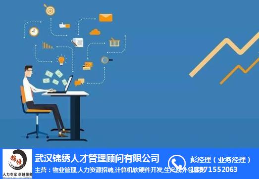 it外包市場分析及營銷模式探討_it技術外包_上海it外包