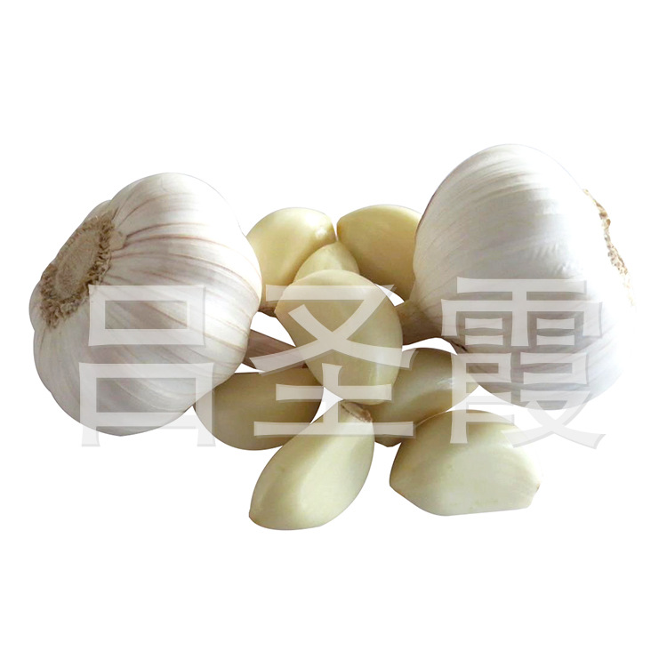 it外包服務(wù)公司_it維護外包_it服務(wù)外包