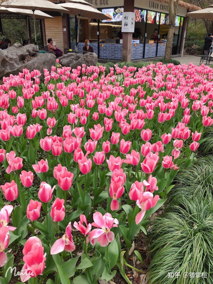 pc外包公司_外包公司不能入職客戶公司_科藍公司是外包公司嗎