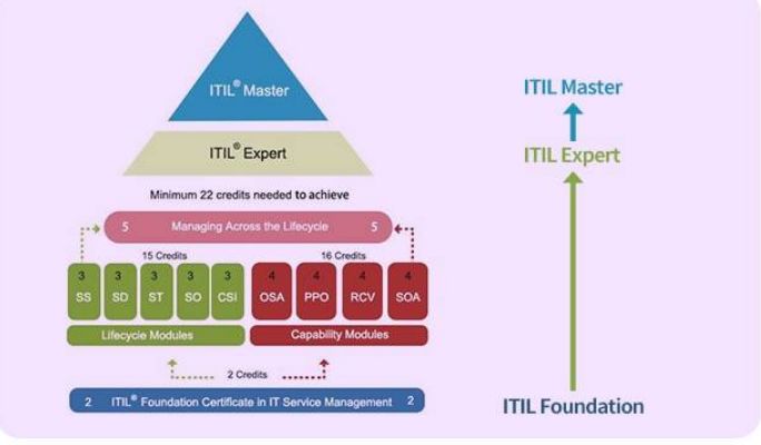 if it bleeds it leads_it支持_let it snow let it